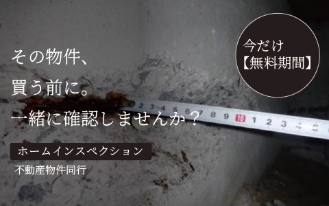 インスペクション